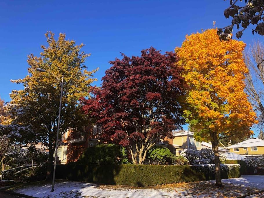 Super Cosy 8Bed & 6Bath In Vancouver Heart Near To Airport And Downtown Экстерьер фото